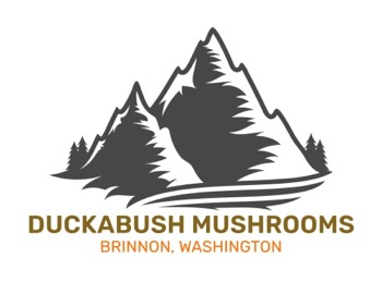 Duckabush logo-350x100