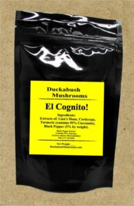Cognito mushroom blend