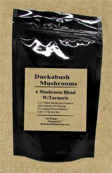 _6 Mushrooms Turmeric